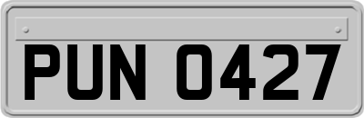 PUN0427