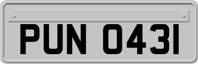 PUN0431
