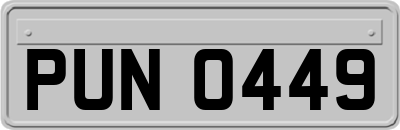 PUN0449