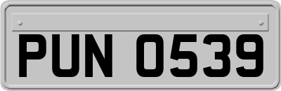 PUN0539