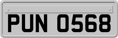 PUN0568