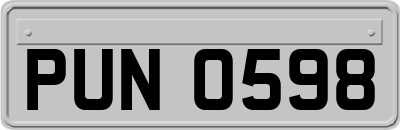 PUN0598