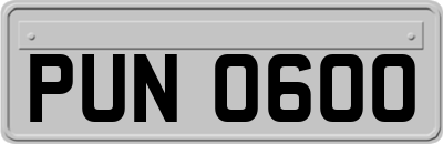 PUN0600