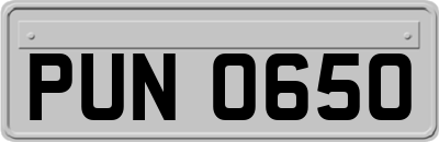 PUN0650