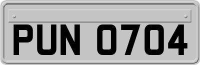 PUN0704