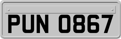 PUN0867