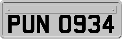 PUN0934