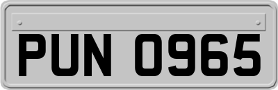 PUN0965