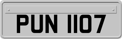 PUN1107