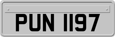 PUN1197