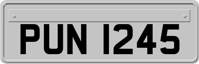 PUN1245