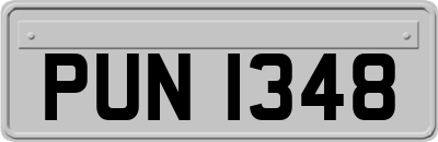 PUN1348