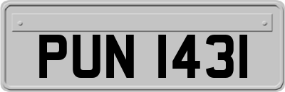 PUN1431