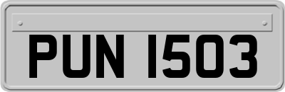 PUN1503