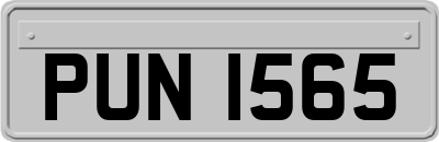 PUN1565