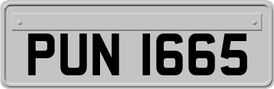 PUN1665