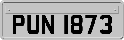 PUN1873