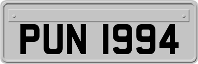 PUN1994