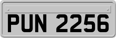 PUN2256