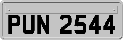 PUN2544