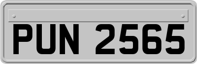 PUN2565