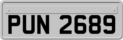 PUN2689