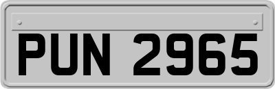 PUN2965