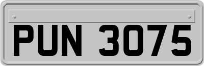 PUN3075