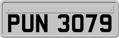 PUN3079