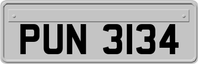 PUN3134