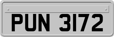 PUN3172