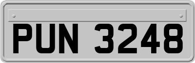 PUN3248