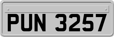 PUN3257