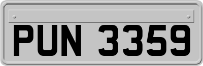 PUN3359