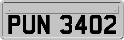 PUN3402