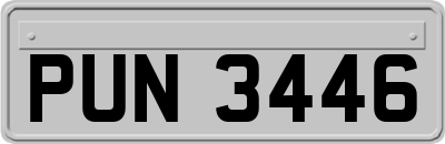 PUN3446