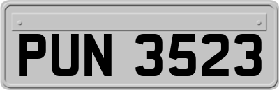 PUN3523