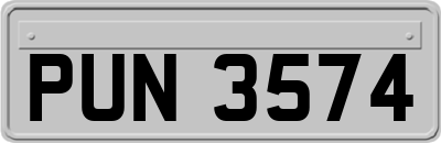 PUN3574