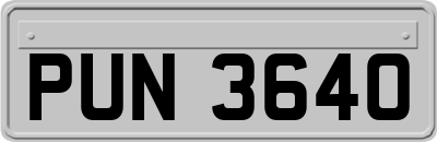 PUN3640