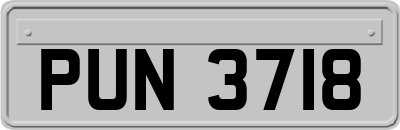 PUN3718