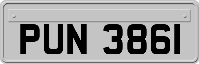 PUN3861