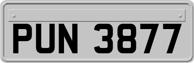 PUN3877
