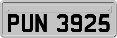 PUN3925