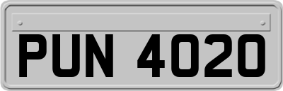 PUN4020