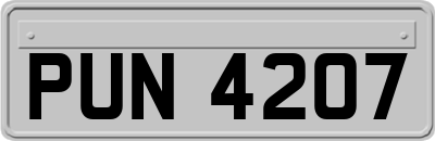 PUN4207