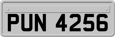 PUN4256