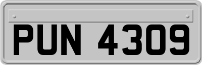 PUN4309