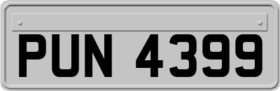 PUN4399
