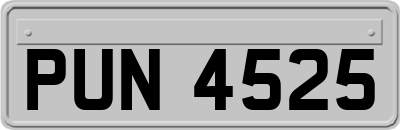 PUN4525