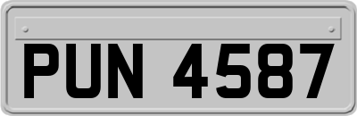 PUN4587